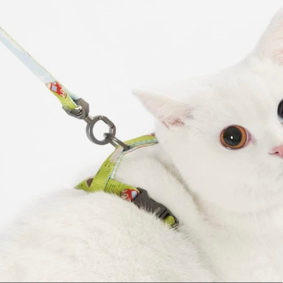 Pidan Cat Harness and Leash Set - Picture 5 of 6